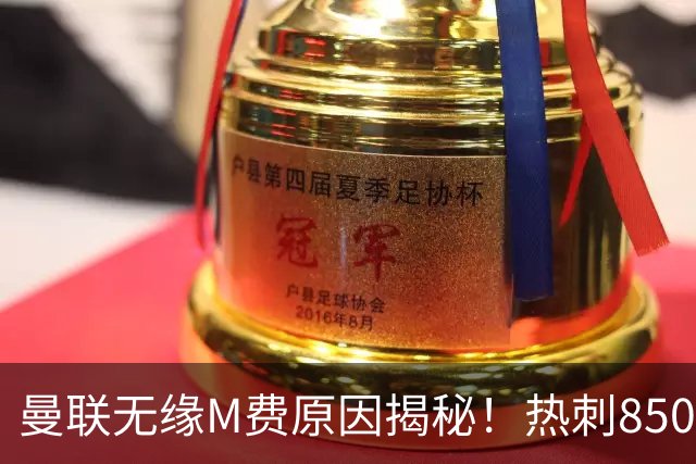 曼联无缘M费原因揭秘！热刺8500万钞能力截胡，没欧战凭啥狂花钱